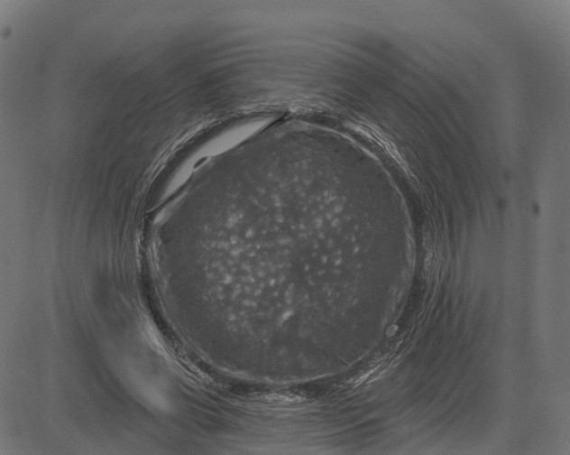 X0000084560542200703091748