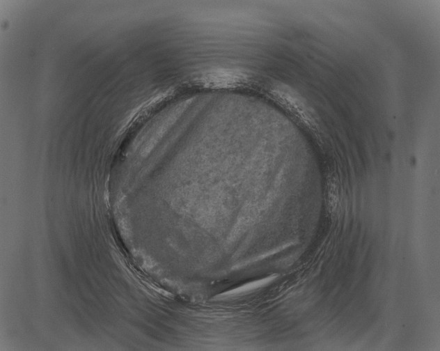 X0000084560543200703091748