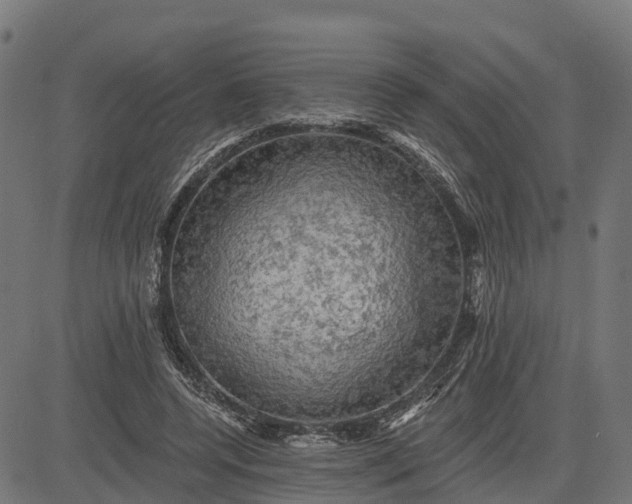 X0000084560544200703091748