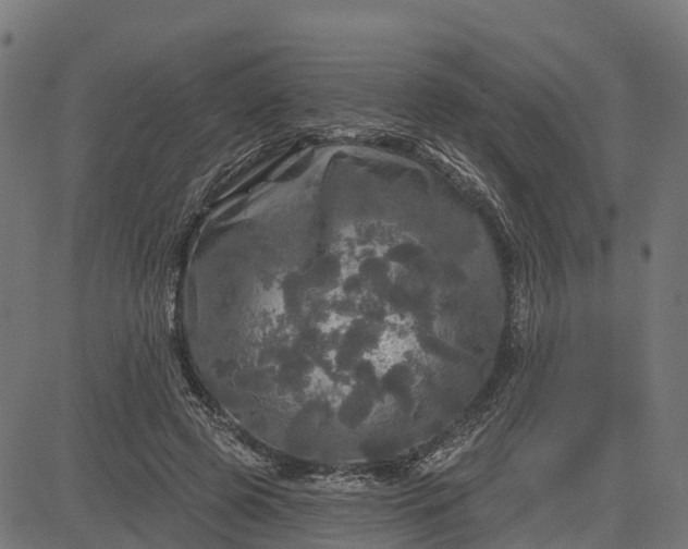 X0000084560545200703091748