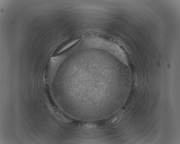 X0000084560546200703091748