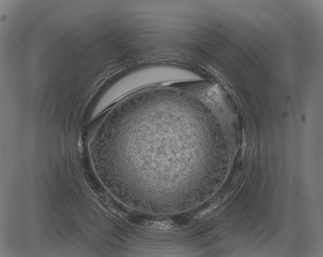 X0000084560548200703091748