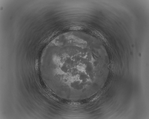 X0000084560549200703091748