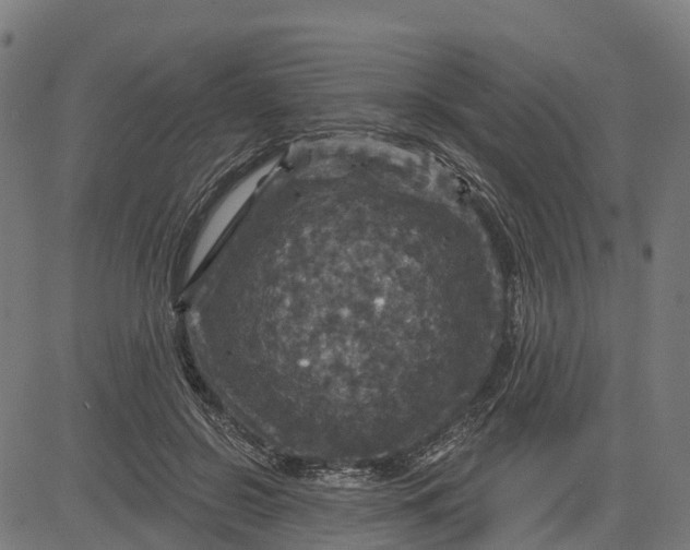 X0000084560550200703091748