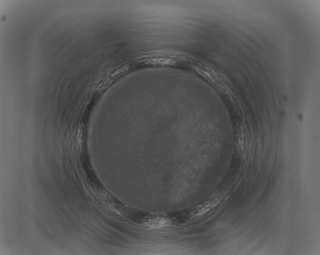 X0000084560551200703091748