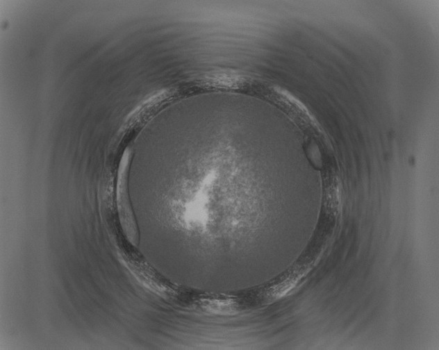 X0000084560552200703091748