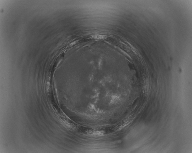 X0000084560553200703091748