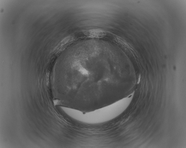 X0000084560554200703091748