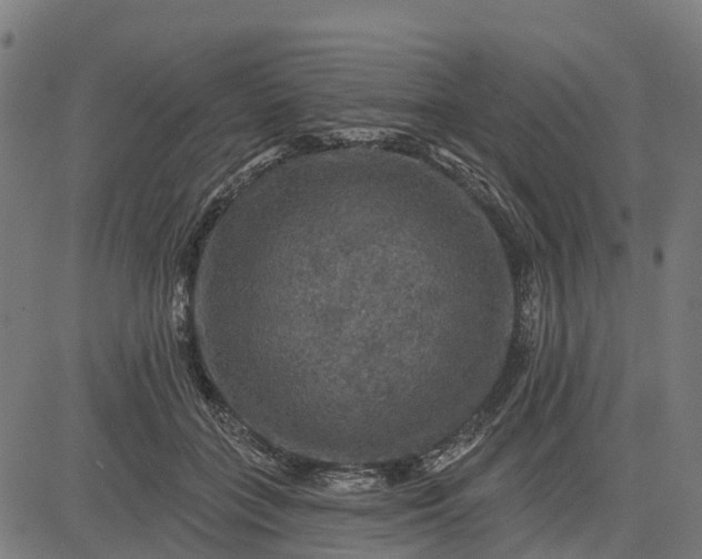 X0000084560555200703091748