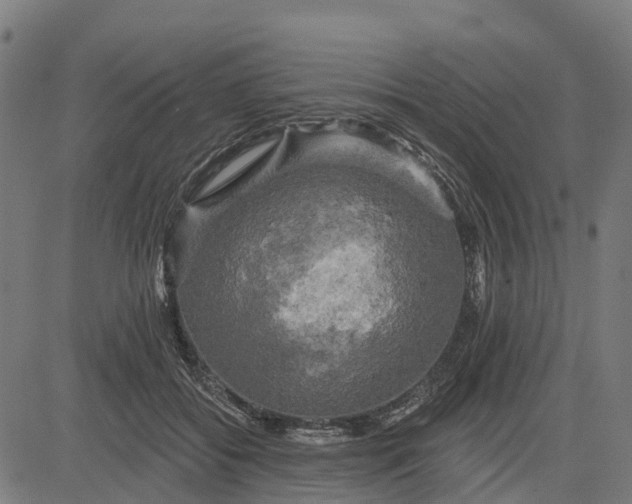 X0000084560556200703091748