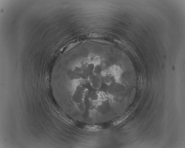 X0000084560557200703091748