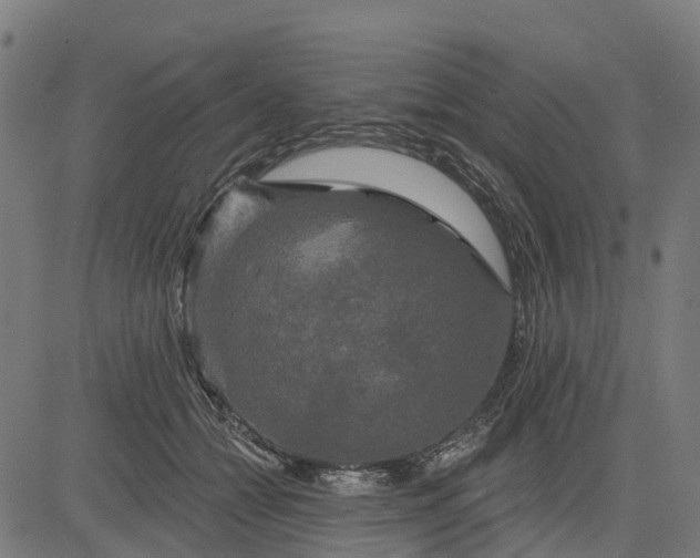 X0000084560558200703091748