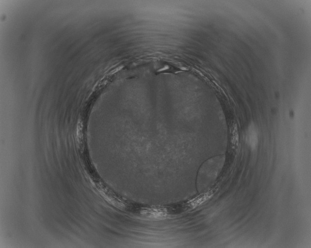 X0000084560559200703091748