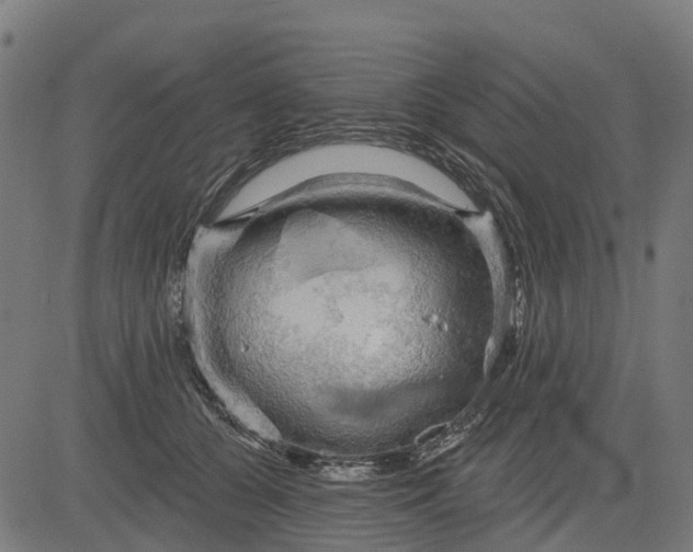 X0000084560560200703091748