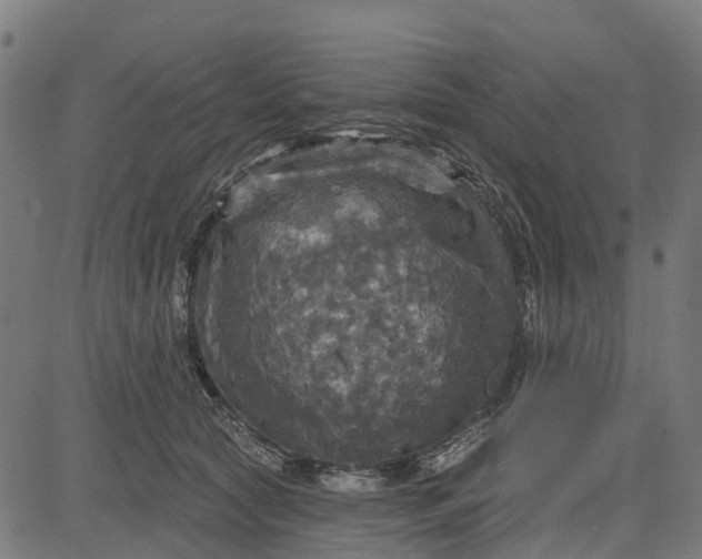 X0000084560561200703091748