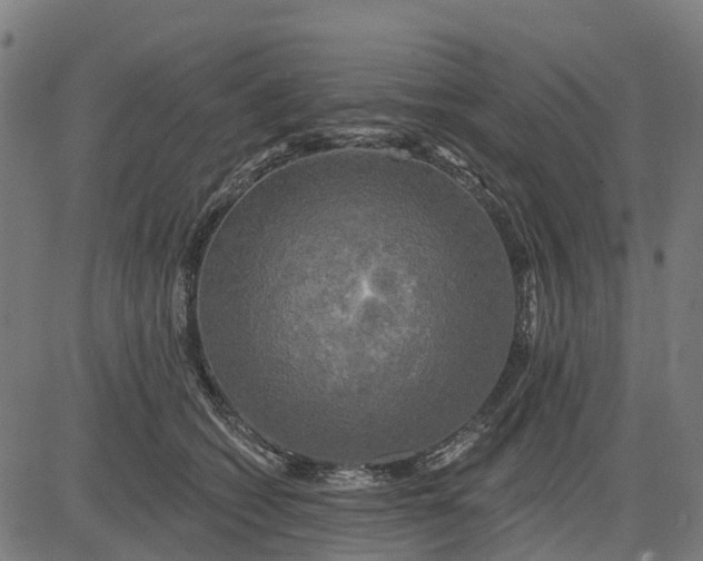 X0000084560562200703091748