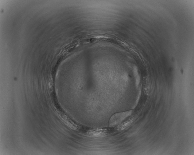 X0000084560563200703091748