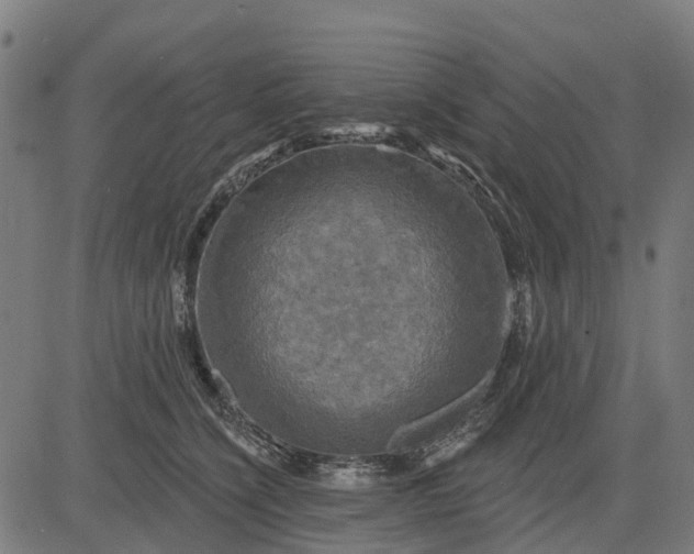 X0000084560564200703091748