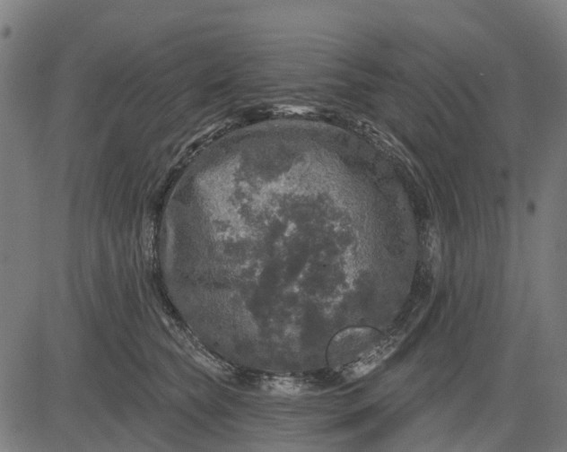 X0000084560565200703091748