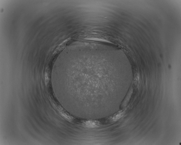 X0000084560566200703091748