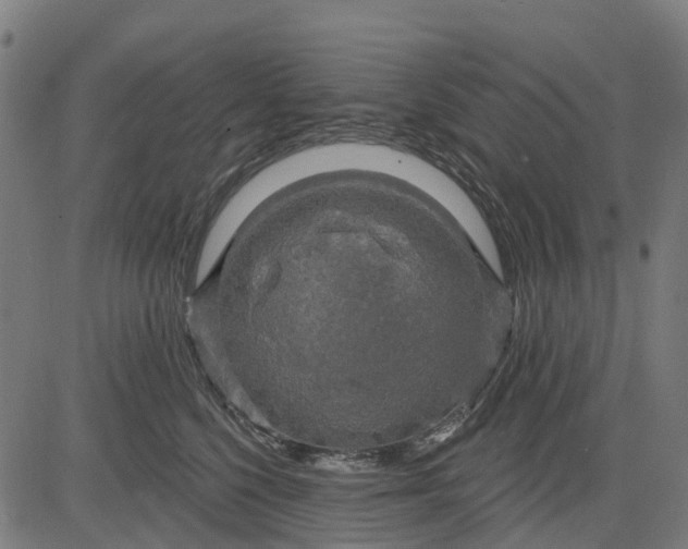 X0000084560568200703091748