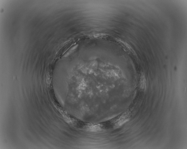 X0000084560569200703091748