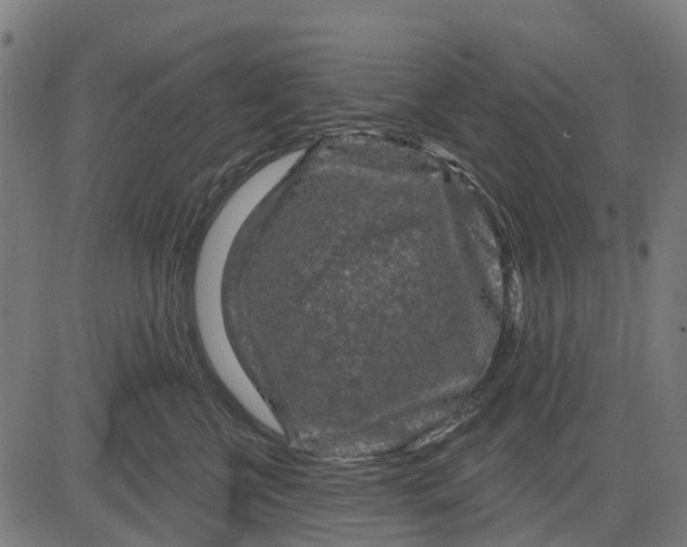 X0000084560570200703091748