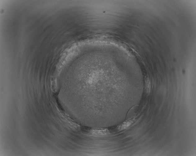 X0000084560571200703091748