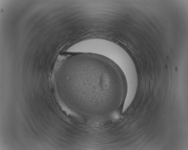 X0000084560572200703091748