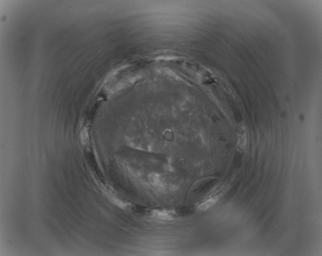 X0000084560573200703091748