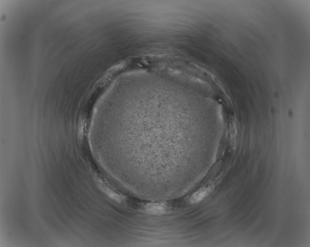 X0000084560574200703091748