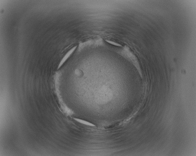 X0000084560576200703091748