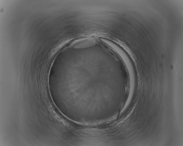 X0000084560577200703091747