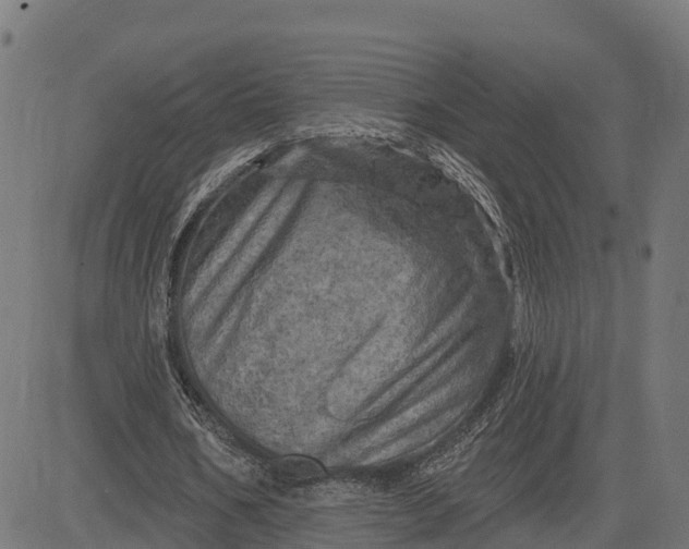 X0000084560578200703091747