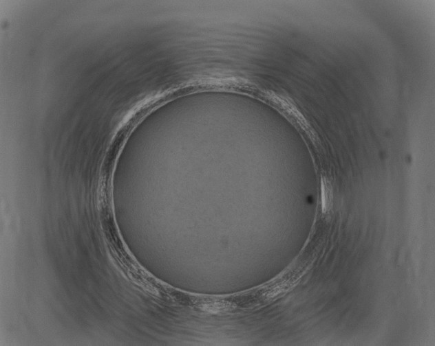 X0000084560579200703091747