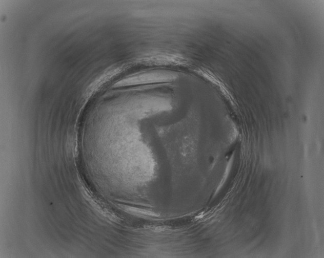 X0000084560582200703091747