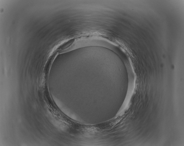 X0000084560583200703091747