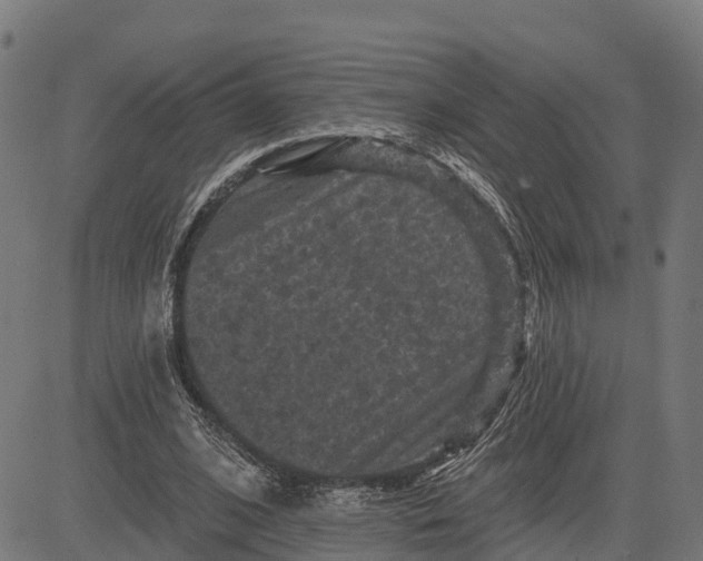 X0000084560584200703091747