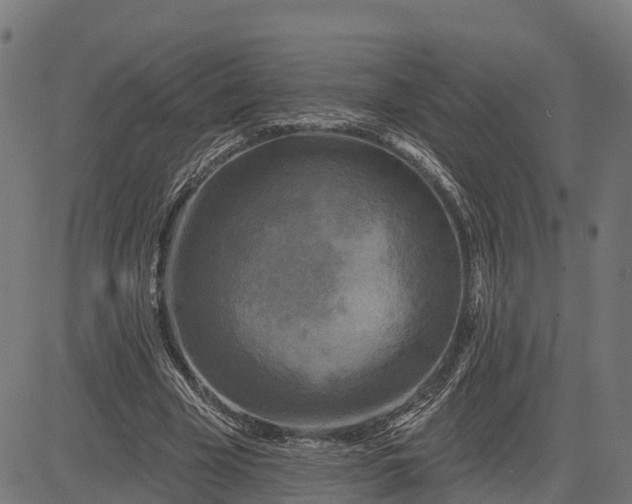 X0000084560585200703091747