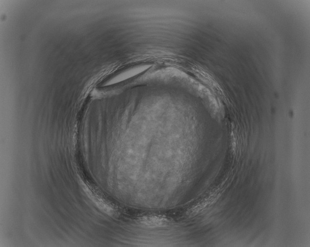 X0000084560586200703091747