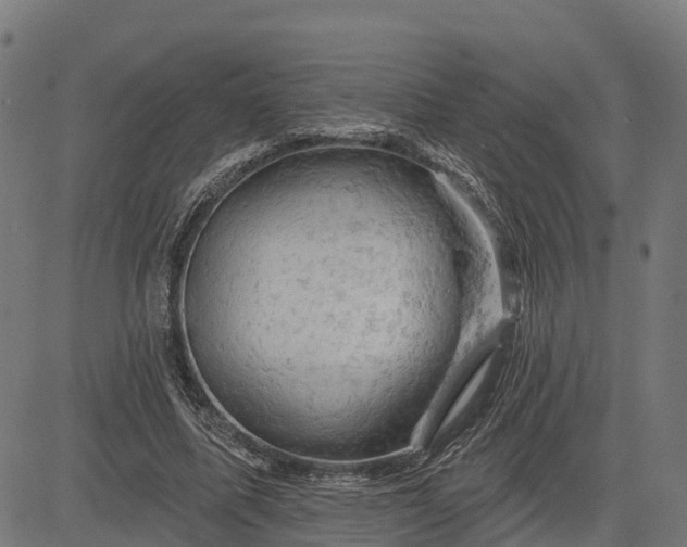 X0000084560587200703091747