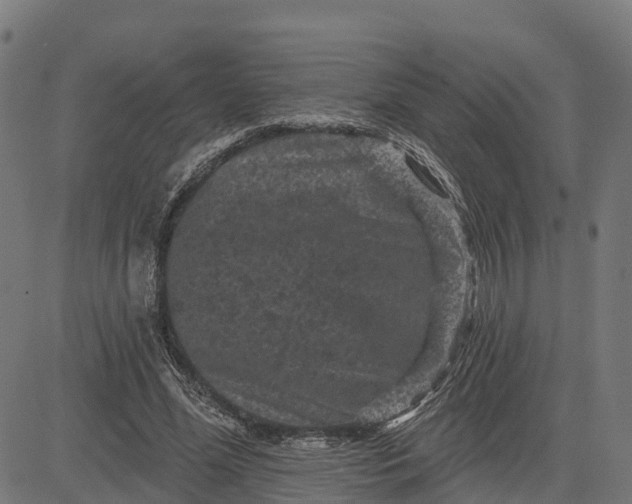 X0000084560588200703091747