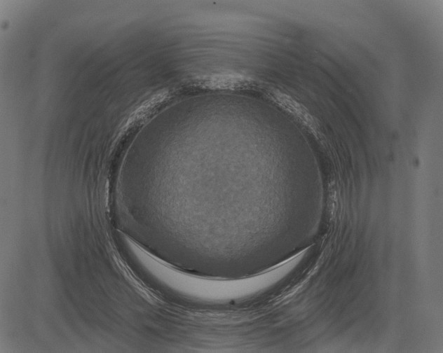 X0000084560589200703091747