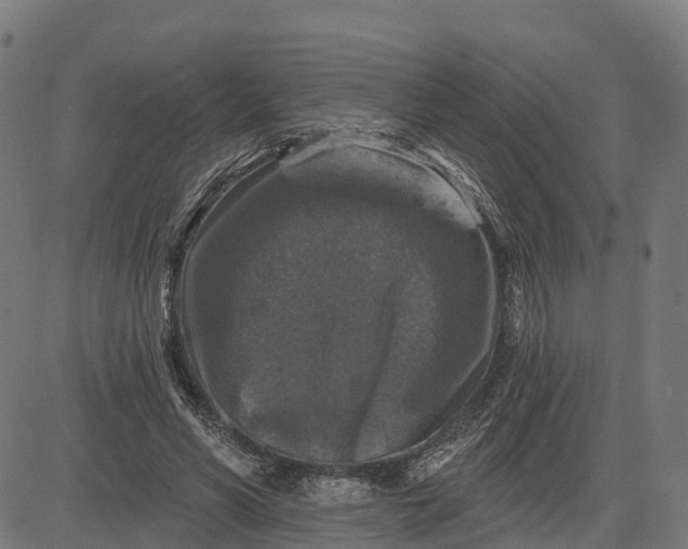 X0000084560590200703091747