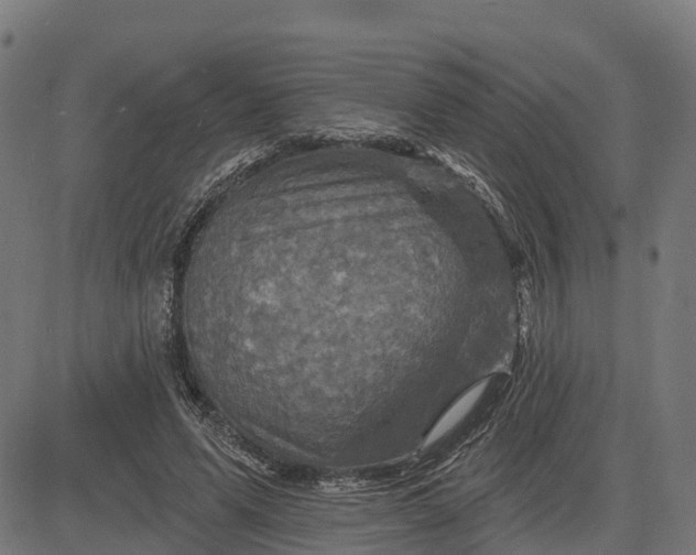 X0000084560591200703091747