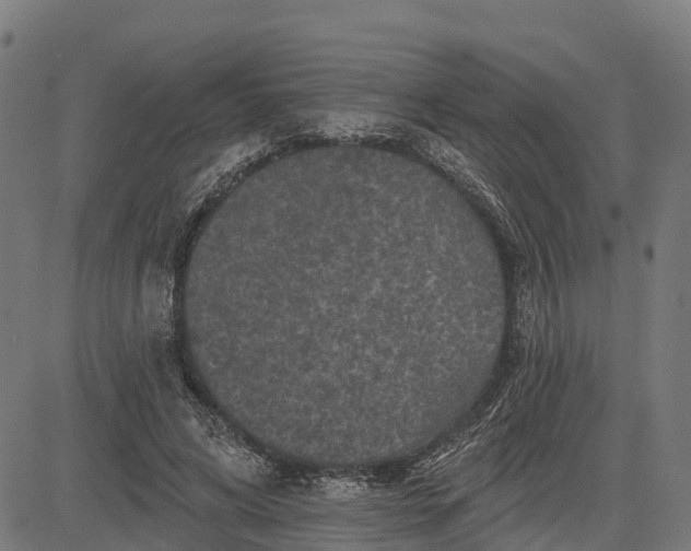 X0000084560592200703091747