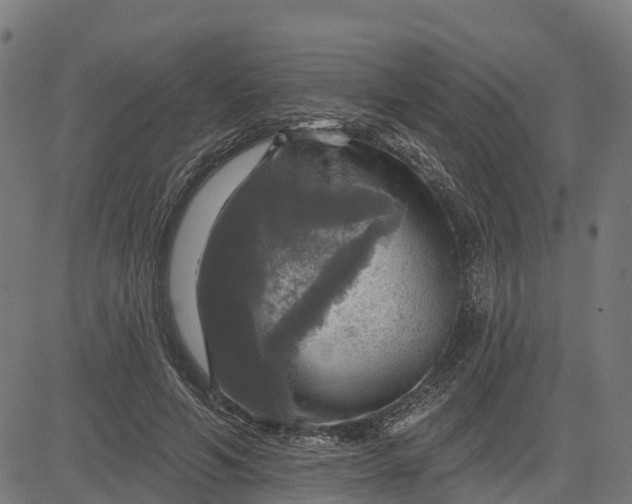 X0000084560594200703091747