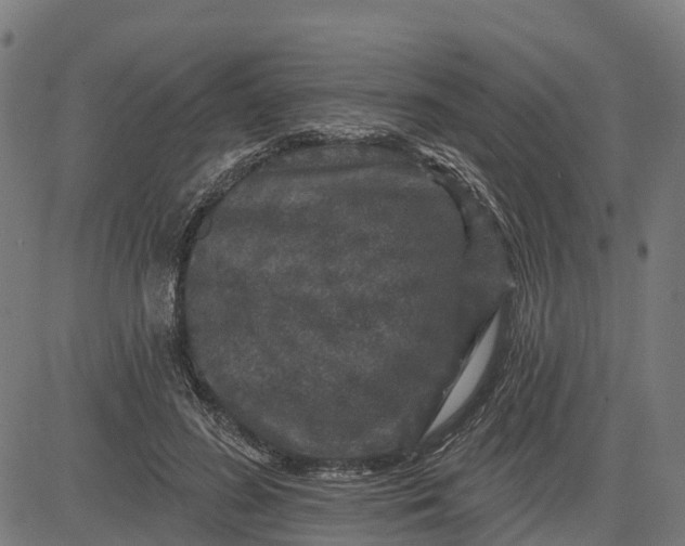 X0000084560596200703091747