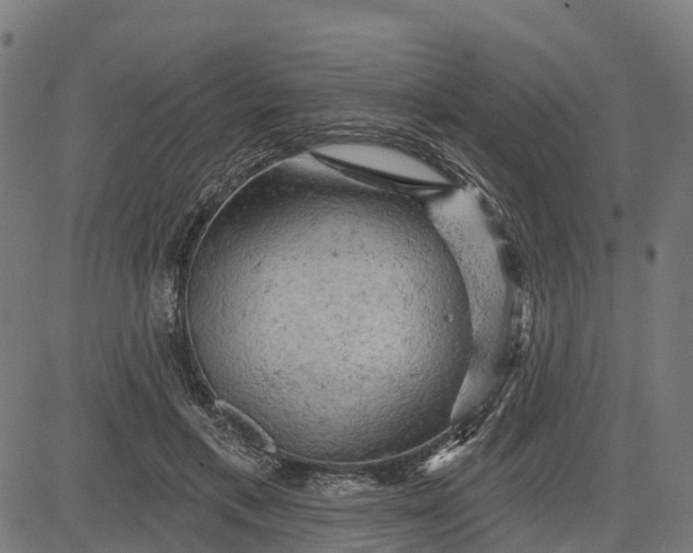 X0000084560597200703091747