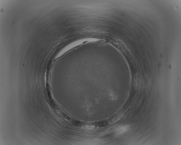 X0000084560598200703091747